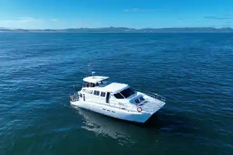 Hermanus: Whale Watching und Winelands Tour mit Verkostungen