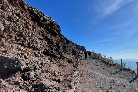 From Positano: Pompeii & Vesuvius tour small group