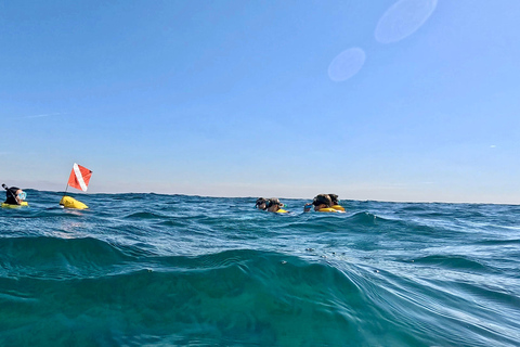 Ft Lauderdale: Combo Deal Snorkel Reefs, Kayak/SUP Mangroves