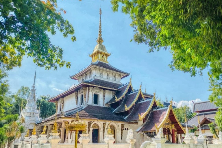 Chiang Mai: Temple Visit & Elephant Nature Observation