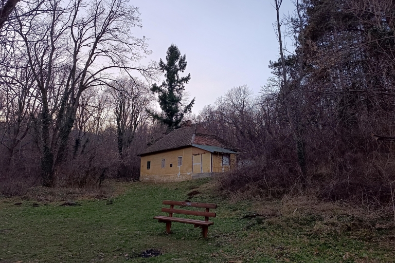 Belgrade : Randonnée dans la forêt de Kosutnjak