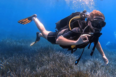 Private: ScubaDoo Underwater Scooter and Snorkel Tour