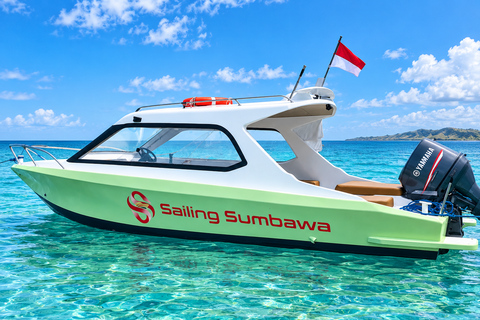 Labuan Bajo: 4-Day Sumbawa Whale Shark & Moyo with Flights Sharing Whale Shark & Moyo Island Private Tour