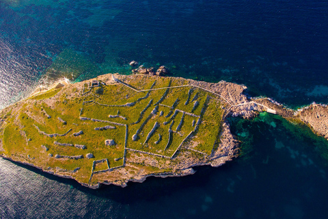 Sliema: Scenic Coastal & Harbour Cruise w/Lunch & Transport Including Transportation