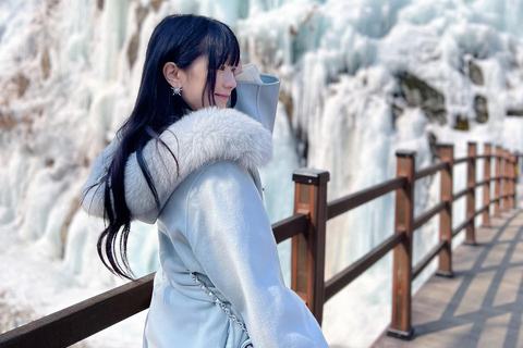 Seoul: Strawberry & Eobi Ice Valley & Nami + Optional Spots Strawberry & Eobi & Nami & Morning Calm Garden Light Festa