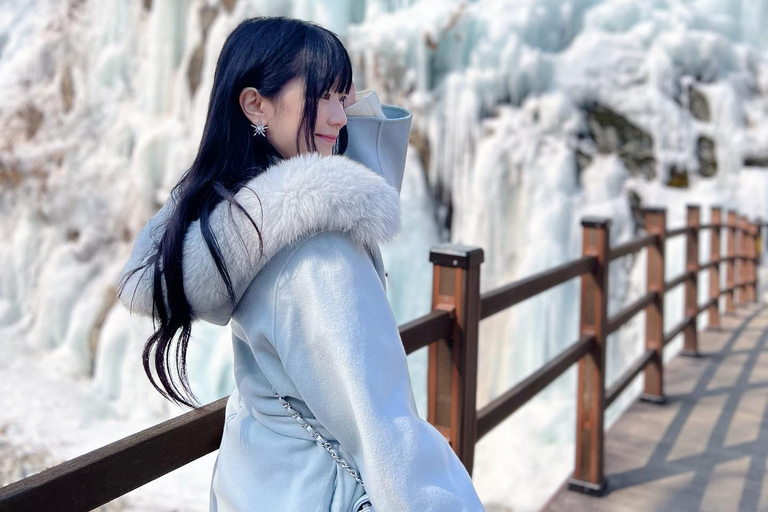 Seoul: Strawberry & Eobi Ice Valley & Nami + Optional Spots Strawberry & Eobi & Nami & Morning Calm Garden Light Festa