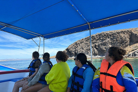 Espiritu Santo Island Tour with Sea Lion Snorkeling