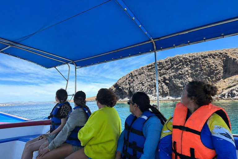 Espiritu Santo Island Tour with Sea Lion Snorkeling