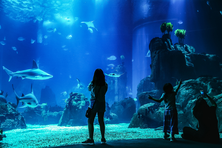 Lisboa: ticket de entrada para el Oceanário