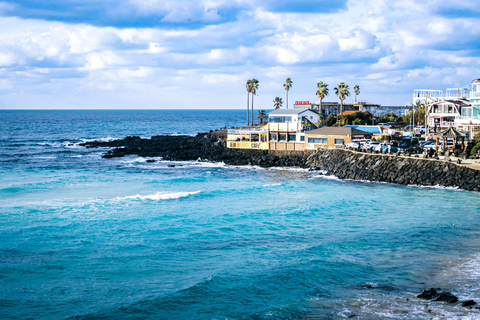 Jeju : visite d&#039;une journée avec Hanbok, Hallasan, Camellia et Jjimjilbang