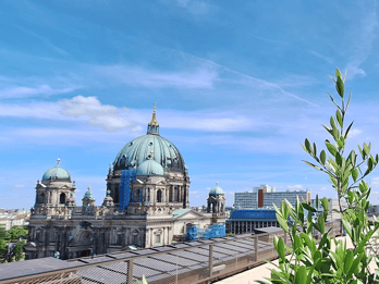 Berlino: City Highlights Express e terrazza panoramica