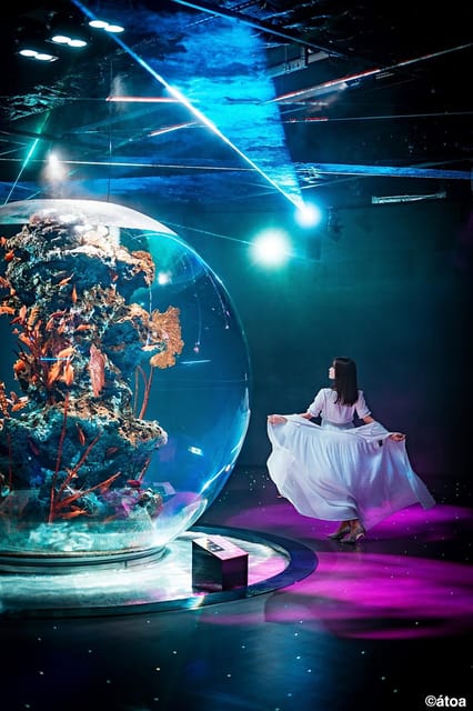 Kobe Urban Aquarium AQUARIUM×ART átoa Admission Ticket | GetYourGuide