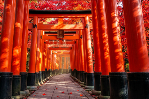 Osaka: Nara, Kyoto, and Arashiyama Day Trip with Train Ride Small Group (1–13 People, Meeting Point Pickup)