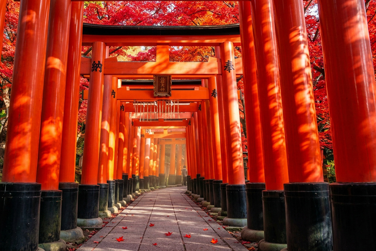 Osaka: Nara, Kyoto, and Arashiyama Day Trip with Train Ride Small Group (1–13 People, Meeting Point Pickup)