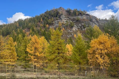 Genghis Khan Statue and Terelj National Park day trip