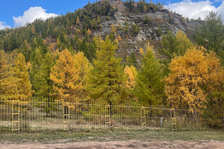 Genghis Khan Statue and Terelj National Park day trip