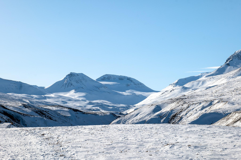 Akureyri: Snowshoe Hiking Tour with Guide