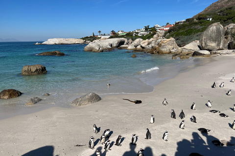 A melhor experiência no Cabo da Boa Esperança