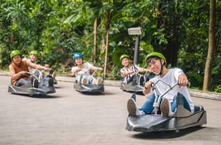 Singapur: Skyline Luge und AltitudeX Indoor Skydiving