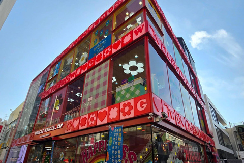 Tokyo Luxury Private City Tour Customizable with Guide