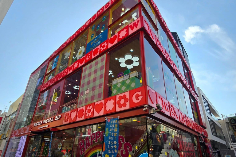 Tokyo Luxury Private City Tour Customizable with Guide