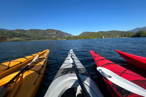 Bled: Half-Day Kayak Tour to Lake Bohinj with Picnic & Swim