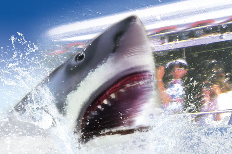 Osaka: Universal Studios Japan Express Pass Only Universal Express Pass 5: Adventure Special