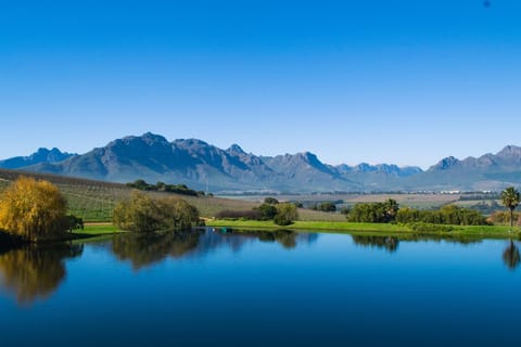 Cape Winelands: 5-Day Luxury Golf & Wine Experience