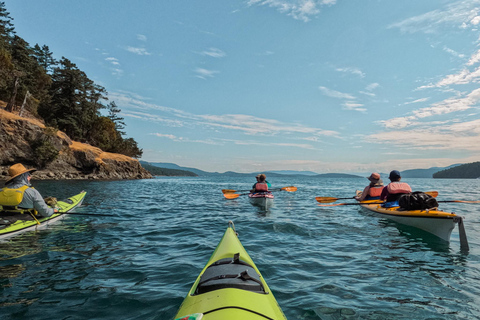 San Juan Island: 3-h Griffin Bay Tour