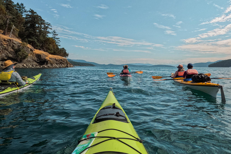 San Juan Island: 3-h Griffin Bay Tour