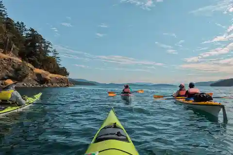 San Juan Island: 3-h Griffin Bay Tour
