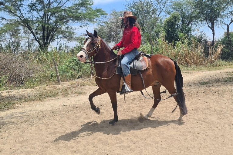 Perú, Chiclayo: 1 día a caballo y Pirámides AntiguasPerú, Chiclayo: 1 día a caballo, Antiguas Pirámides/Bosque