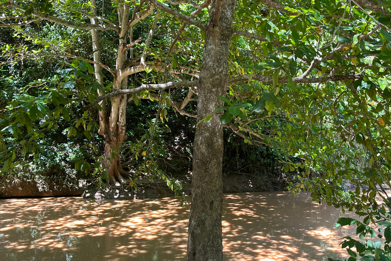 San Juan - Arecibo : expédition dans le Midwest, chutes d'eau et plage