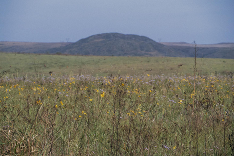 From São Paulo: 5-Day Serra da Canastra Wildlife Safari