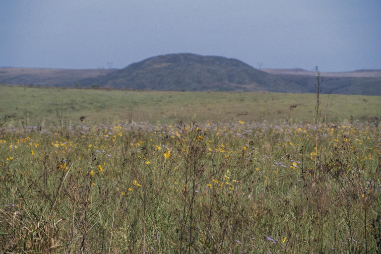 From São Paulo: 5-Day Serra da Canastra Wildlife Safari