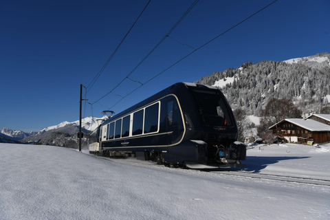 From Montreux to Interlaken: GoldenPass Express Scenic TrainSingle journey from Interlaken to Montreux (1st class)