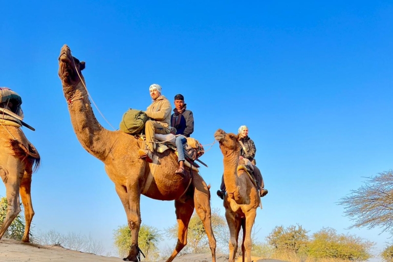 Safari en camello por el desierto de Jodhpur con clase de cocina con Sumer