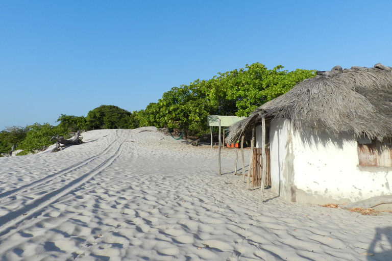 Excursion d&#039;une journée à Atins par les Lencois MaranhensesExcursion d&#039;une journée à Atins - groupe ou privé