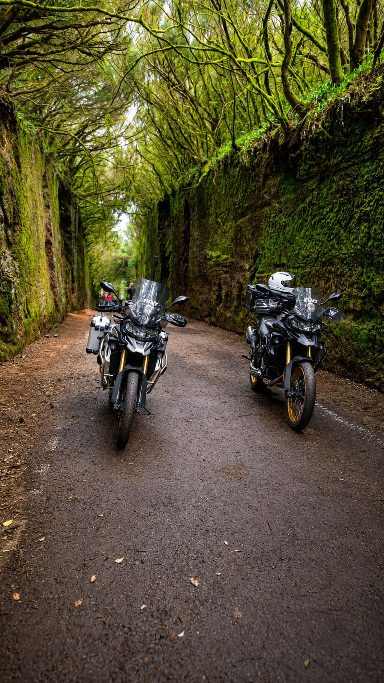Motorradtour durch Anaga und den Zauberwald