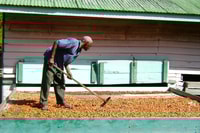 From Castries, Full-Day Catamaran Tour of Saint Lucia - Housity