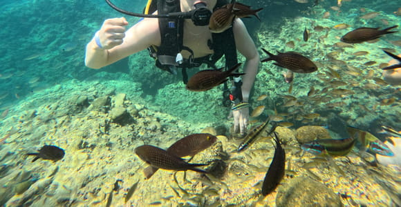 Alanya: Scuba Diving Boat Tour with Lunch and Equipment