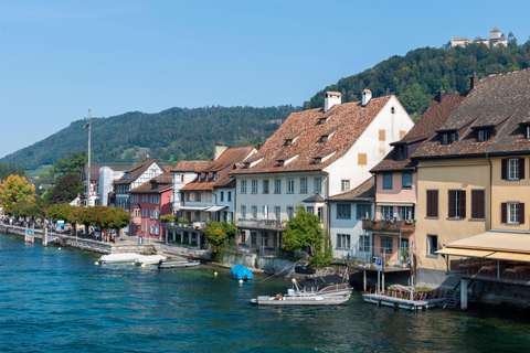 From Zurich: Rhine Falls & Liechtenstein Private Tour