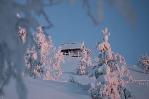 Levi: Snowshoeing Tour to Santa's Cabin with Sausage BBQ