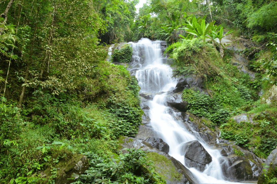 Chiang Mai: Doi Suthep-Tempel und Wasserfall von Songtaew Trio. Foto: GetYourGuide