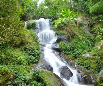 Chiang Mai: Doi Suthep Temple and Waterfall by Songtaew Trio