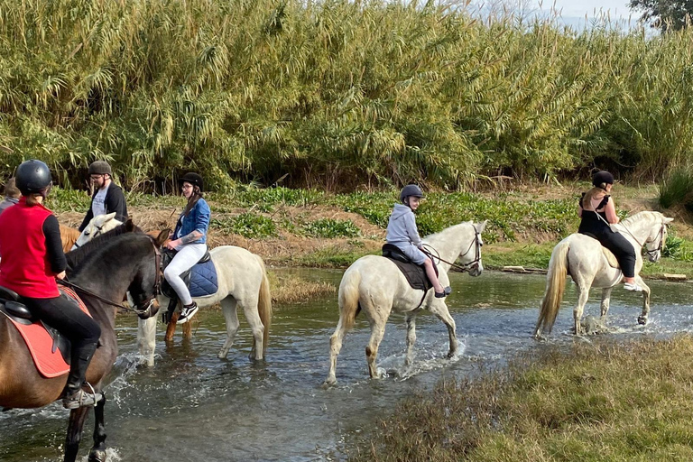 Málaga: Guided tour on horseback in the Guadalhorce ValleyMalaga: Guided tour on horseback through the Guadalhorce Valley in English