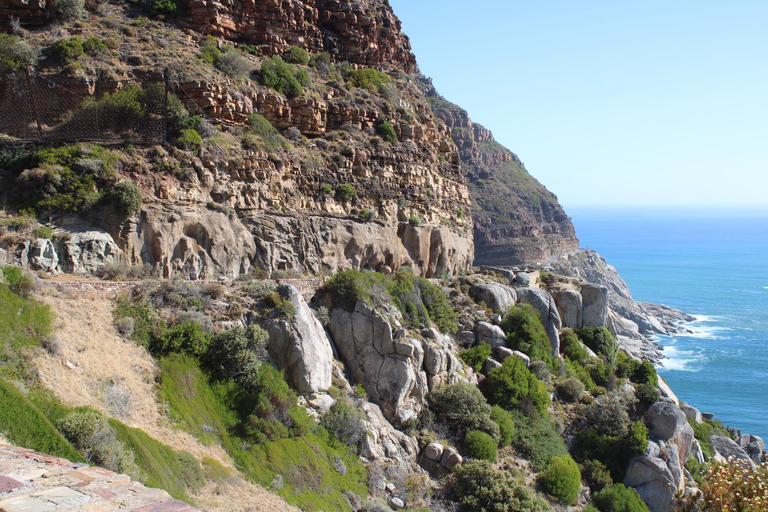 Cape Town: Table Mountain, Bo-Kaap, & Boulders Beach Tour