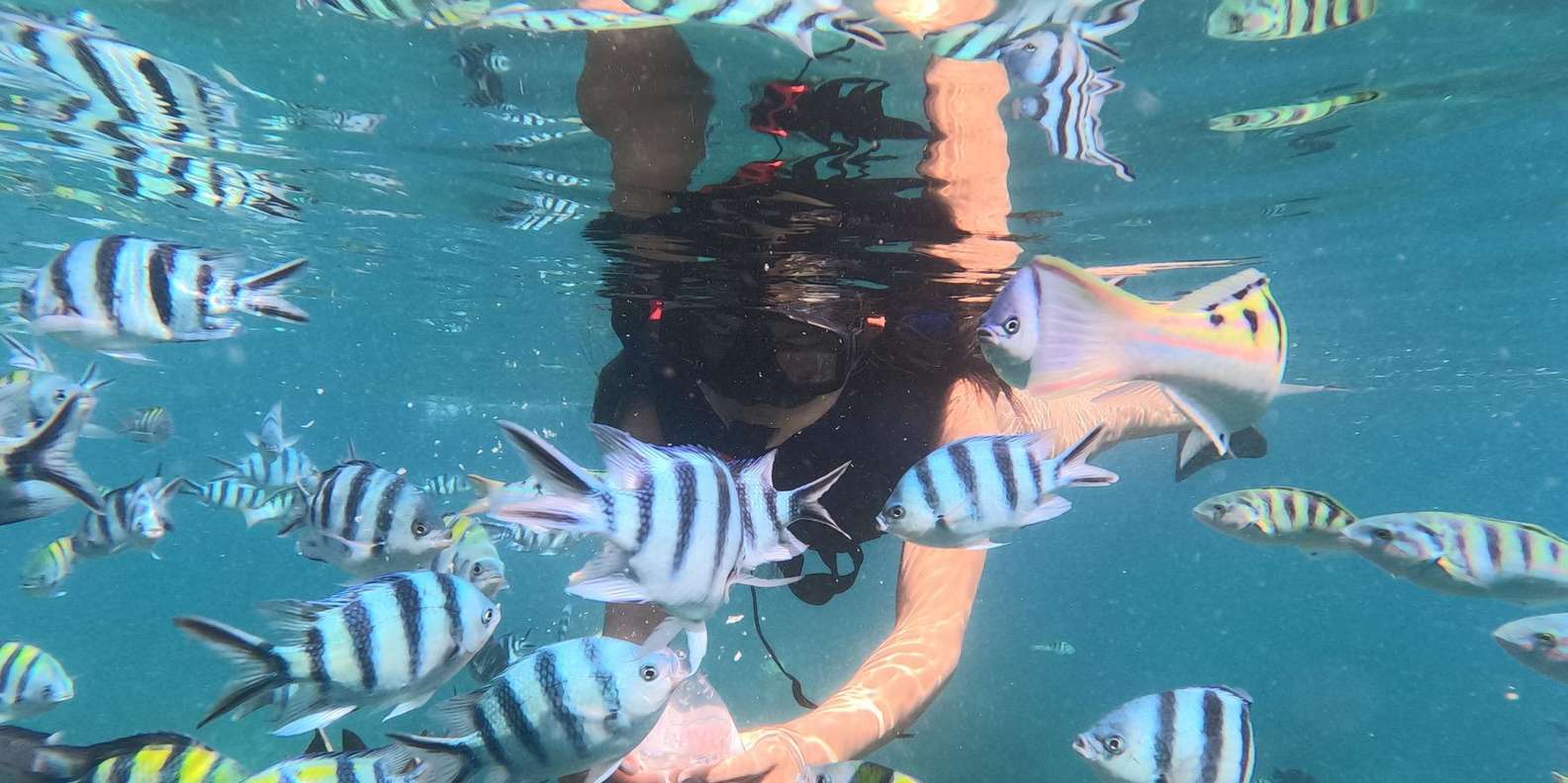 Bali: Blue Lagoon Snorkeling With GoPro/Massage & Transfers