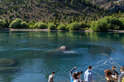 Bariloche: Circuito Grande Tour with Hotel Pickup Circuito Grande Tour in English or Portuguese