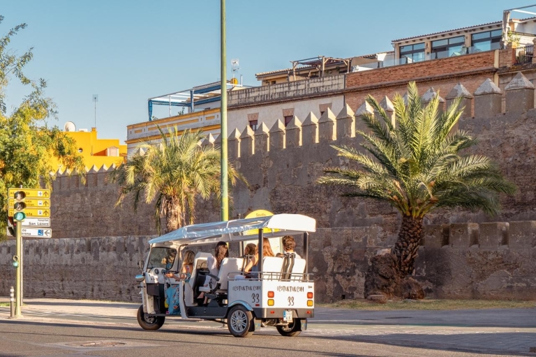 Sevilla: Stadtrundfahrt mit einem privaten elektrischen Tuk-TukSevilla: Express-Stadtrundfahrt mit dem elektrischen Tuk-Tuk (1 Stunde)